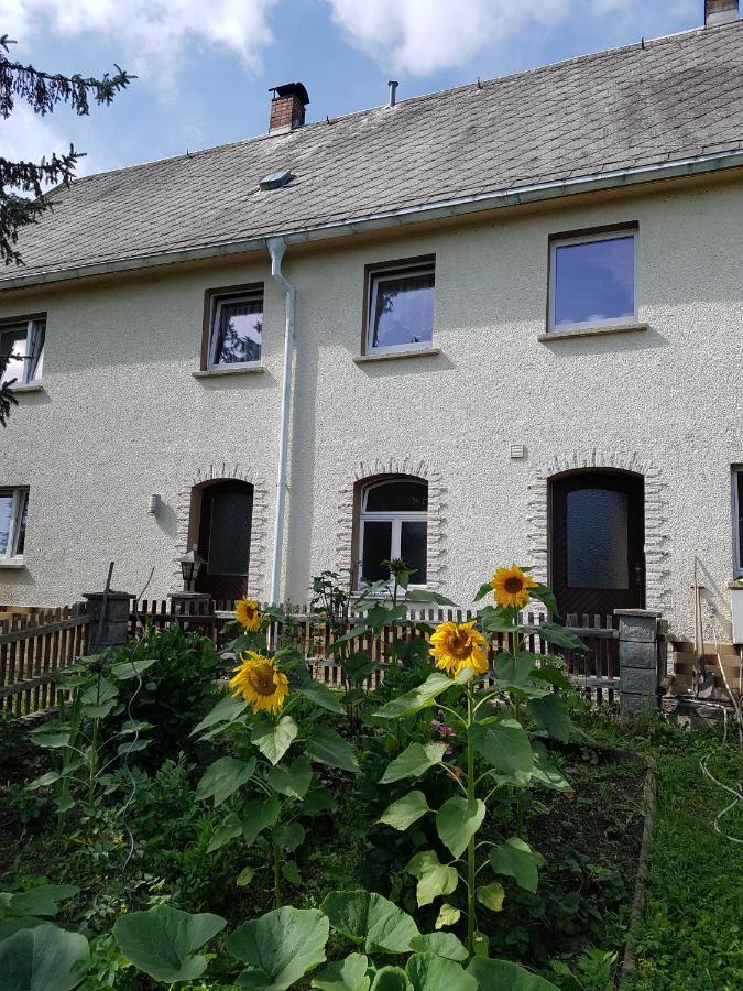 Ferienwohnung Im Obstgarten Borlas Buitenkant foto